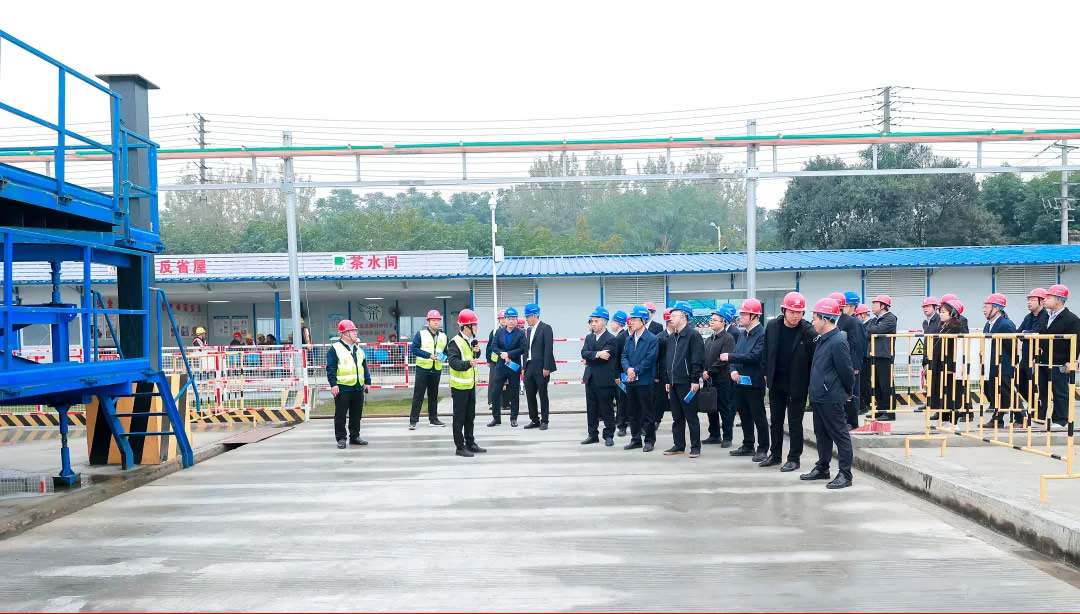 1733208733771516.jpg 1.jpg